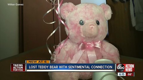 Parents search for sentimental pink bear lost at Busch Gardens Tampa Bay