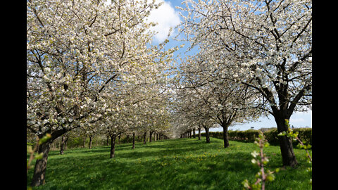 Mheer & Banholt, a Spring day walk, April 16 2022