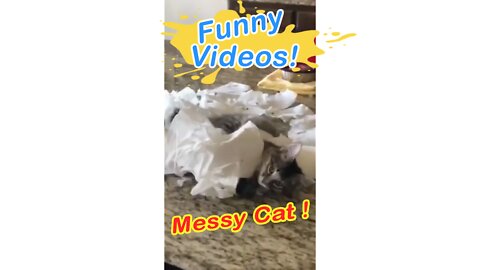 Messy Cat! Funny vVdeos - Life of Pets official