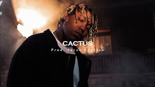 Don Toliver x Travis Scott Type Beat - Cactus [Prod. Aaron Poulsen]