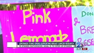 Lemonade Stand Supports Breast Cancer Research