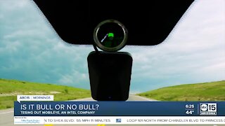 Bull or No Bull: Testing out Mobileye