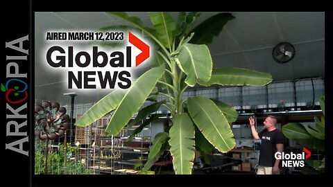 Global News - Arkopia Greenhouse - Aired March 12, 2023