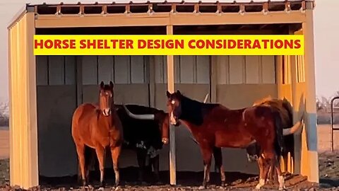 Horse Shelter Design - Good Things To Consider