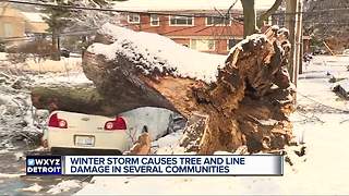 Winter storm causes tree and line damage in several communities