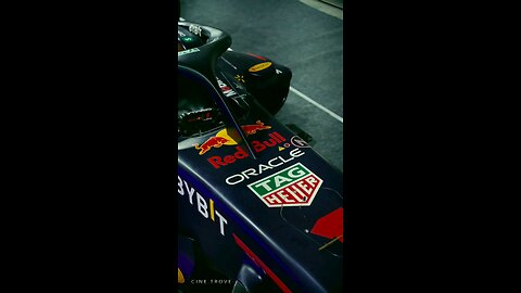 Red Bull Racing meets Racoon Rhythms! #raccoon #memphishouse #phone #redbullracingf1 #redbull