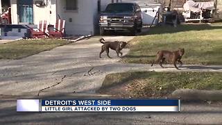 Little girl attacked by town dogs