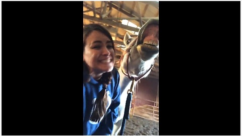 Horse Hilariously Smiles For The Camera On Command