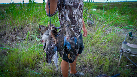 Louisiana Duck Season | 2021 Teal Season Public Land Hunt
