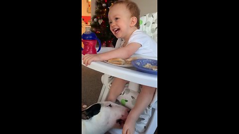 Laughing baby adorably gets feet tickled by dog
