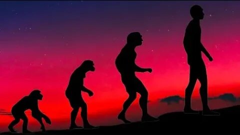 Evolution - The Established Reality of Life on Earth