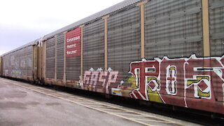 Westbound Canadian National Train CN 5677, CN 5610 & CN 2646 Locomotives In Ontario