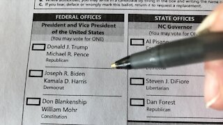 Voters Ordered To Take Down 'Ballot Selfies'