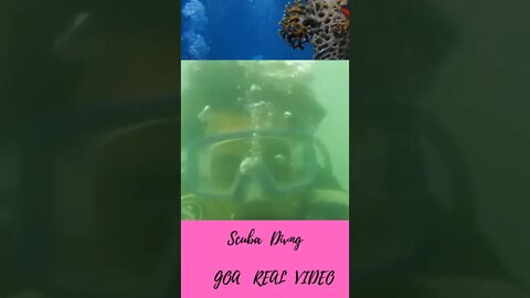 Scuba diving, Best place Scuba diving in Goa#scuba diving#