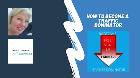 How to become a Traffic Dominator