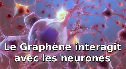 Le graphène parfaitement compatible avec les neurones.