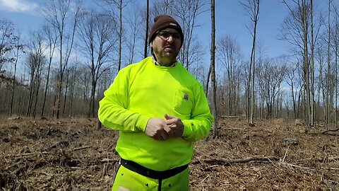 Ep. 140 [Mismanaged Forest] Landscaping for Whitetails #thedeerwizard