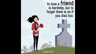 To lose a friend [GMG Originals]