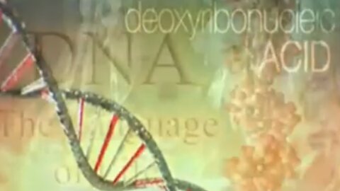 DNA Disproves Evolution & Proves Divinity