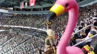 Meet the Vegas Golden Knights victory flamingo.