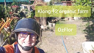 Visiting an organic farm in Khong 12 - Music Zhong Wen Smoke