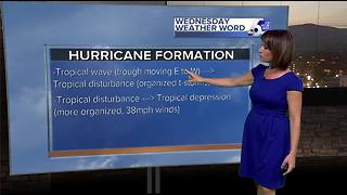 Rachel's Wednesday Wx Word: Hurricane Stages