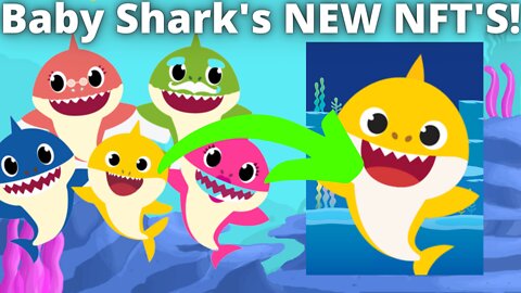Baby Shark Will Have a New 10K NFT Series!