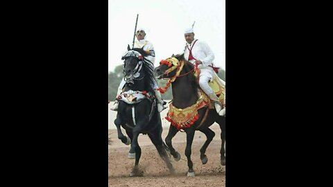 The ancient art of the Amazigh and the oldest peoples to tame horses.