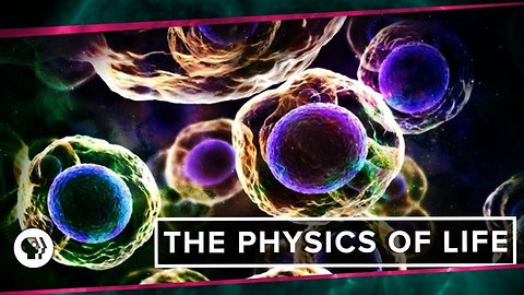 The Physics of Life (ft. It's Okay to be Smart & PBS Eons!)