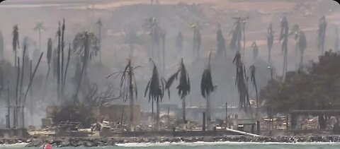 Hawaii - MAUI FIRES COVER UP STORY - The FACTS