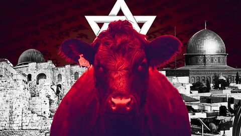 The Red Heifer Project & The Modern-Day Israel Delusion