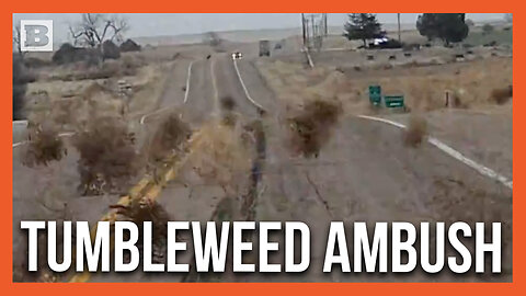 Mass of Tumbleweeds Blown Across Colorado Highway Sends Driver and Passengers into Hysterics