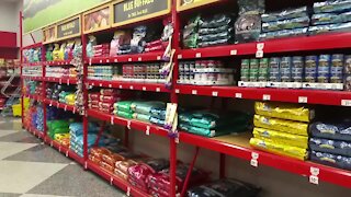 Choosing the Right Dog Food