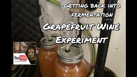 Grapefruit Wine Experiment (2023)