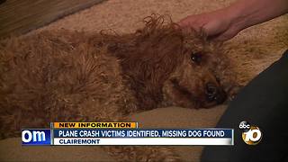 Plane crash victims identified, missing dog found