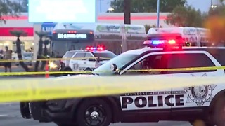 Pedestrian killed in crash near Nellis, Charleston