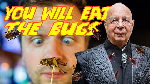 You Will Eat The Bugs