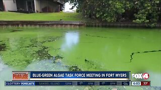 Blue-Green Algae Task Force will hold meeting in Southwest Florida Monday