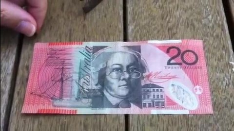 Is this a fake $20 note? Amuse your friends with this simple test.