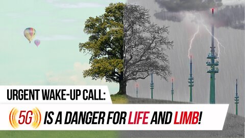 Urgent Wake-Up Call: 5G is a danger for life and limb! | www.kla.tv/13921