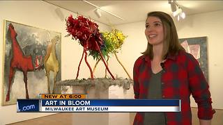 Spring blooms at the Milwaukee Art Museum