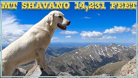 Oatmeal Climbs Mt Shavano : Oatmeal's First 14er