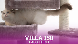 Petrebels cat trees - Villa 150 - Cappuccino