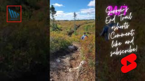 Sorrow's End Trail #shorts (Comment, like and subscribe)