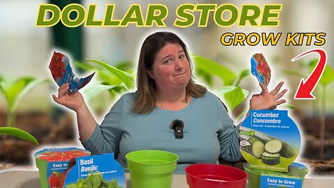 Easy Dollar Store Grow Kits | Starting Seeds | Are They Worth Buying?
