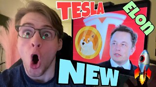MAJOR Tesla DOGECOIN Update ⚠️