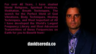 David Sereda Live