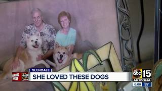 Woman mauled by dog at Phoenix boarding facility