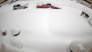 Time Lapse of Snowfall, Casper, Wyoming, March 13, 2020