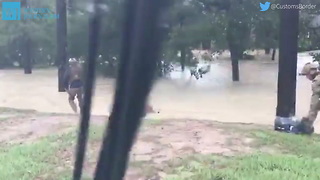 Hurricane Harvey Twitter Video